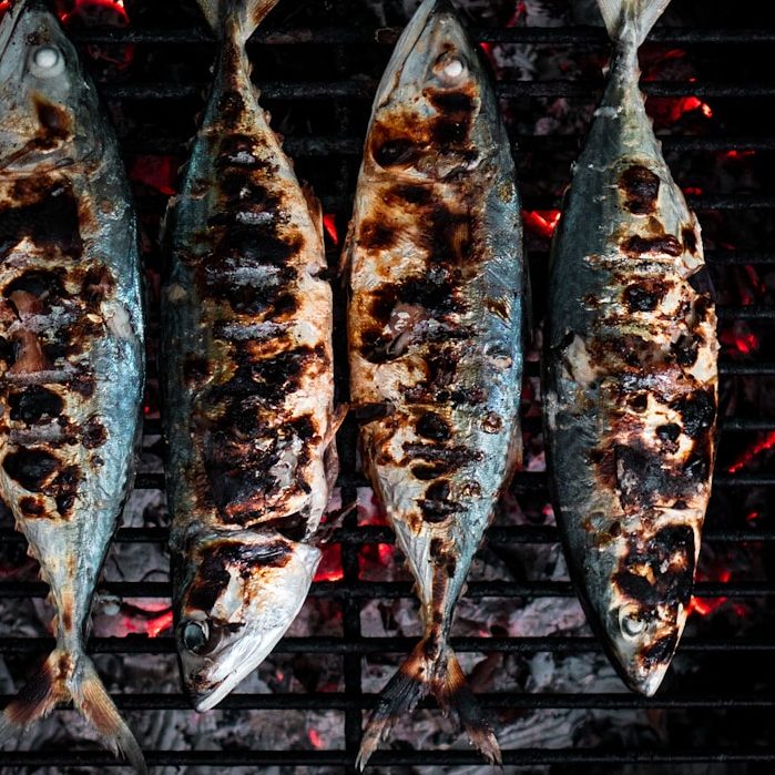 Gegrillte Fische auf einem Holzkohlegrill, stark angebräunt.